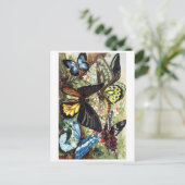 Classic Illustration Briefkaart (Staand voorkant)