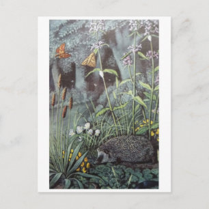 Classic Illustration Briefkaart