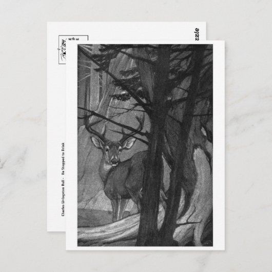 Classic Illustration Briefkaart (Voorkant / Achterkant)