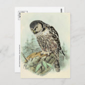 Classic Illustration Briefkaart (Voorkant / Achterkant)