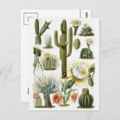 Classic Illustration Briefkaart (Voorkant / Achterkant)