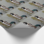 CLASSIC MALLARD DUCK CADEAUPAPIER (Hoek)