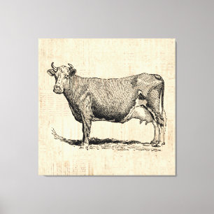 Classic Old Fashioned Cow Art Canvas Afdruk