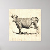Classic Old Fashioned Koe Art Canvas Afdruk (Voorkant)