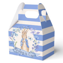 🐰🌿 Classic Peter Rabbit Party Favoriete Boxen