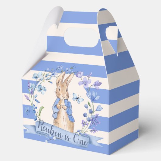 🐰🌿 Classic Peter Rabbit Party Favoriete Boxen Bedankdoosjes (Voorkant)