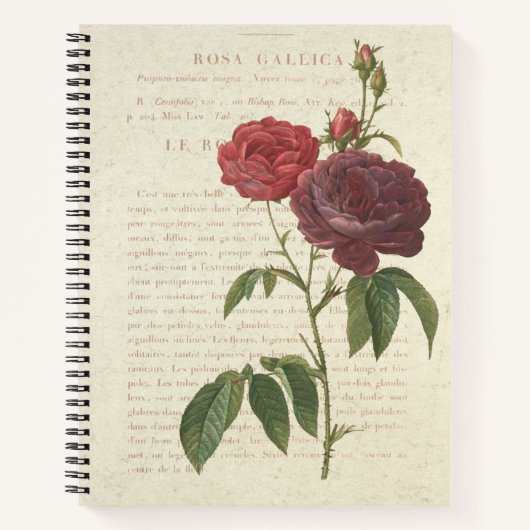 Classic  Rosa Gallica Notitieboek (Voorkant)