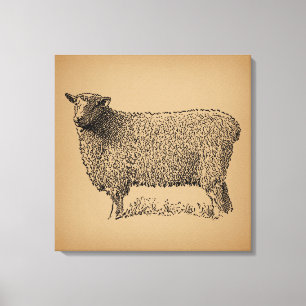 Classic Sheep Art Illustratie Antiek Boerderij Ani Canvas Afdruk