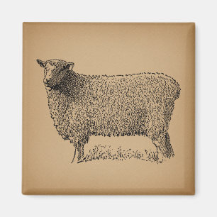 Classic Sheep Art Illustratie Antiek Boerderij Ani Magneet