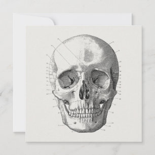 Classic Skull Diagram Illustratie Kaart