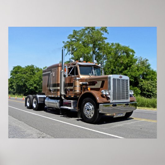 Classic Tan 359 Poster (Voorkant)