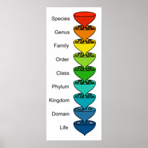 Classificatie van de Diversiteit van Organic Life Poster