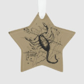 Classique de Hevelius 1690 de constellation de (devant)