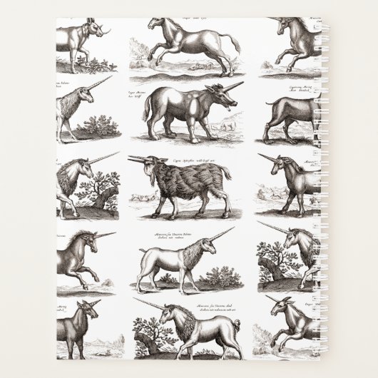 Classique Unicorne Antique Mythique Magie Créature (Dos)