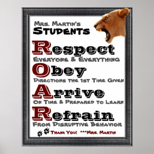 Classroom Guidelines/Rules Poster