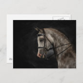 Classy Arabian Briefkaart (Voorkant / Achterkant)