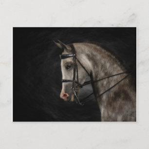 Classy Arabian Briefkaart