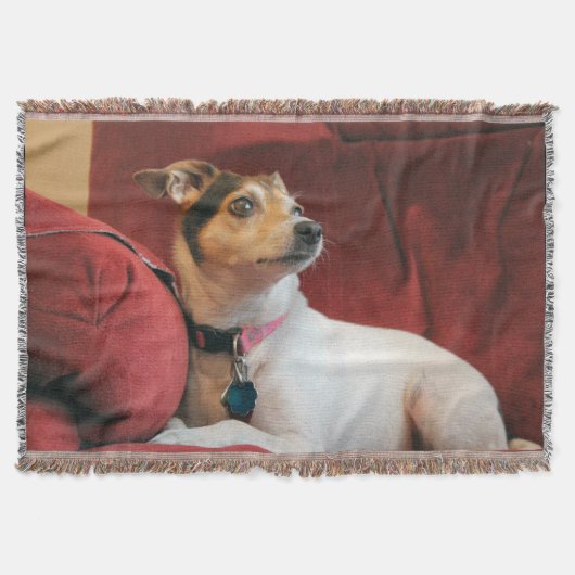 Classy Deken (Voorkant)