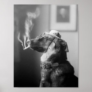 Classy Dog Roken een sigaret Poster