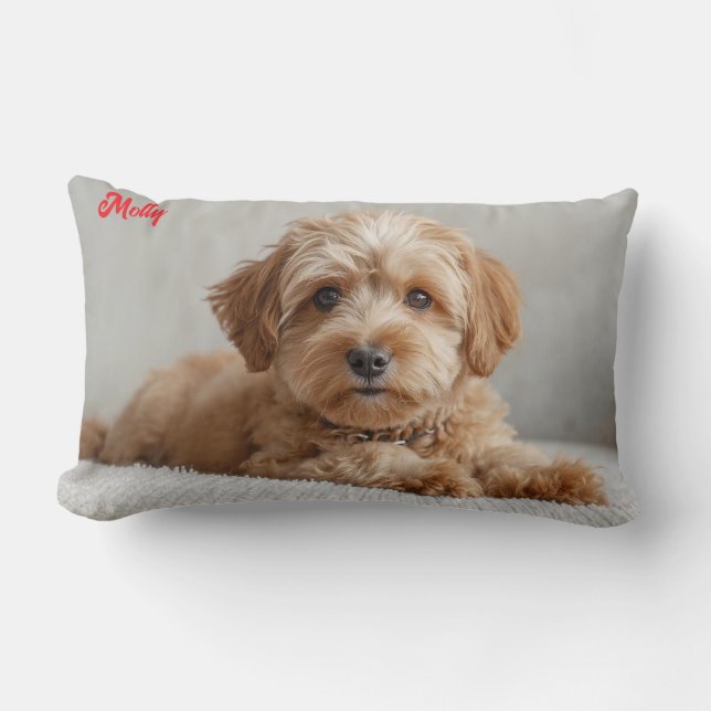 Classy Doodle gepersonaliseerd Kussen (Voorkant)