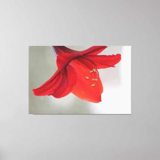 Classy Floral Print (Voorkant)