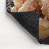 Clathrus ruber Mouse Mat Muismat (Hoek)