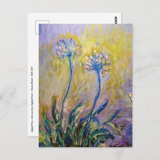 Claude Monet - Agapanthus Briefkaart (Voorkant / Achterkant)