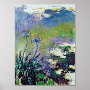 Claude Monet - Agapanthus Poster