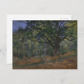 Claude Monet | Bodmer Oak, Fontainebleau Fores Briefkaart (Voorkant / Achterkant)