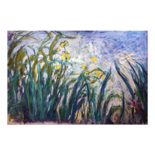 Claude Monet - Geel en Paars Irises Foto Afdruk