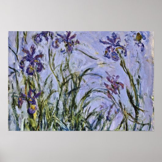 Claude Monet - Iris Mauves Poster (Voorkant)