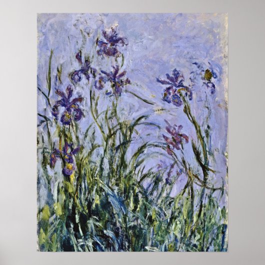Claude Monet - Iris Mauves Poster (Voorkant)