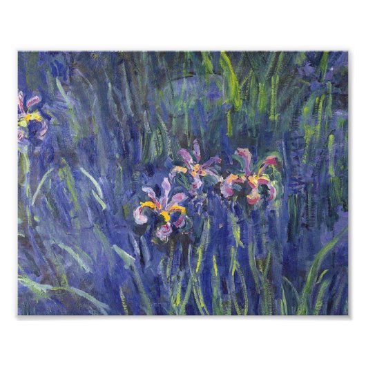 Claude Monet - Irises Foto Afdruk (Voorkant)