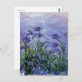 Claude Monet Lila Irises Briefkaart (Voorkant / Achterkant)