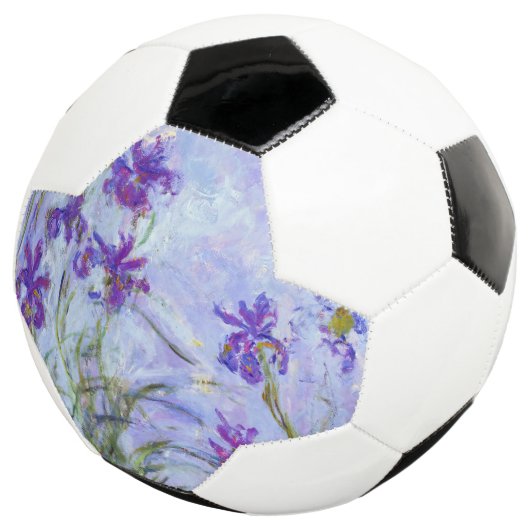 Claude Monet - Lila Irises / Iris Mauves Voetbal (Drie kwart)