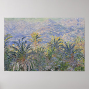 Claude Monet - Palm Trees op Bordighera Poster