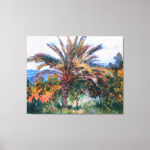 Claude Monet: Palmboom op Bordighera Canvas Afdruk