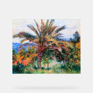 Claude Monet, Palmier à Bordighera,