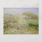 Claude Monet | Veervruchtenbomen in Bloom Briefkaart (Voorkant)