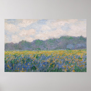 Claude Monet - Veld met gele irissen in Giverny Poster