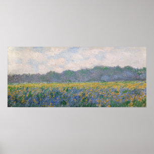Claude Monet - Veld van gele irissen bij Giverny Poster