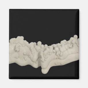 Clay Concretion Magneet