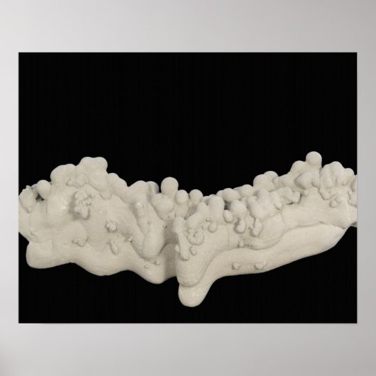 Clay Concretion Poster (Voorkant)