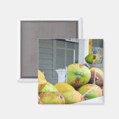 Clé d'eau de coco West FL Aimant de noix de coco (Recto/Verso)