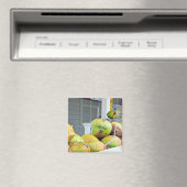 Clé d'eau de coco West FL Aimant de noix de coco (In Situ (Lave-vaisselle))