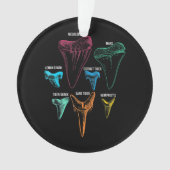 Clé d'identité de la chasse aux dents de requin (devant)