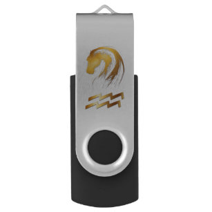 Clé USB Aquarius Né dans l'année du cheval USB