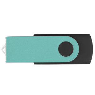 Clé USB Lecteur flash USB Turquoise léger, feux nord