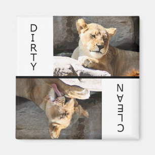 Clean Dirty Lioness Magneet