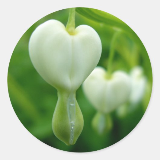 Clean Heart Sticker (Voorkant)